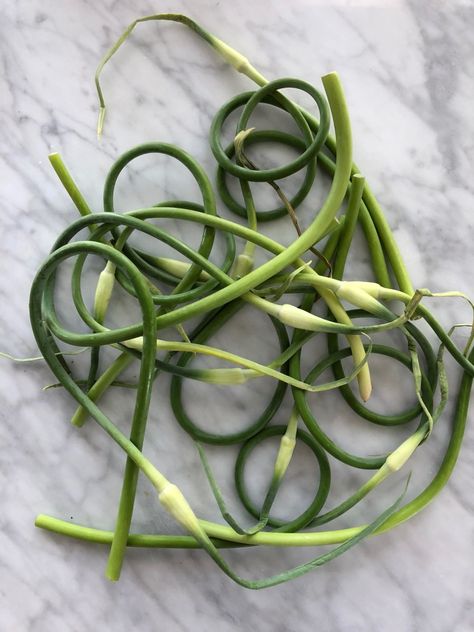 Garlic Scape Salt (Low-FODMAP, AIP, SCD) | Gutsy By Nature Spring Garlic, Garlic Scapes, Fodmap Friendly, Fodmap Diet, Artichoke Dip, Low Fodmap, Lactose Free, Garlic Salt, Preserving Food