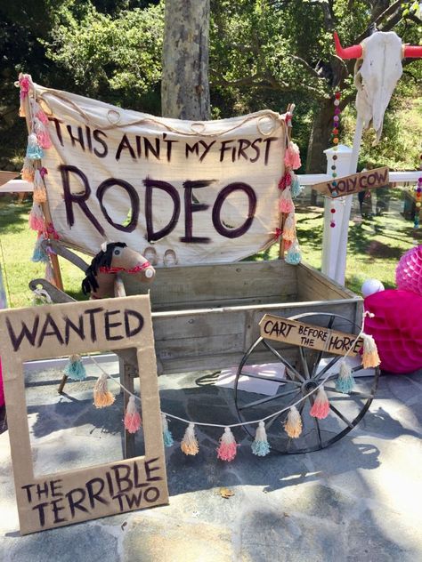 Two Wild West Birthday Party, 2 Rowdy Birthday, Rodeo Theme 2nd Birthday Party, 2nd Birthday Party Rodeo, 3rd Birthday Rodeo Theme, Two Rowdy Birthday Theme, This Isnt My First Rodeo Its My Second Birthday, Two Wild Western Birthday, Farm Animal Birthday Theme