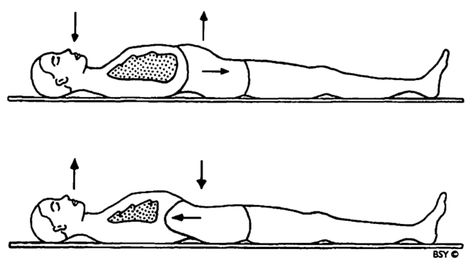 Abdominal Breathing - World Yoga Forum Abdominal Breathing Exercises, Kumbhaka Pranayama, Kapalabhati Pranayama, Abdominal Breathing, Bhramari Pranayama, Pranayama Benefits, Physical Pain, Pranayama, Bellows