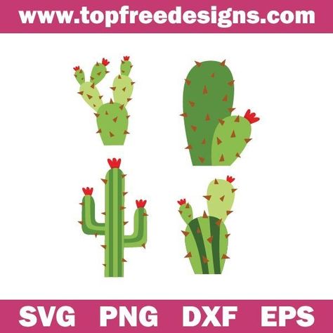 Free Cactus Svg Mini Bundle - TopFreeDesigns Cactus Patterns Printable, Succulent Svg Free, Cactus Svg, Cactus Svg Free Files For Cricut, Cricut Succulent Svg Free, Free Cactus Svg, Cactus Sublimation Designs, Prayer Shawl Patterns, Cactus Drawing