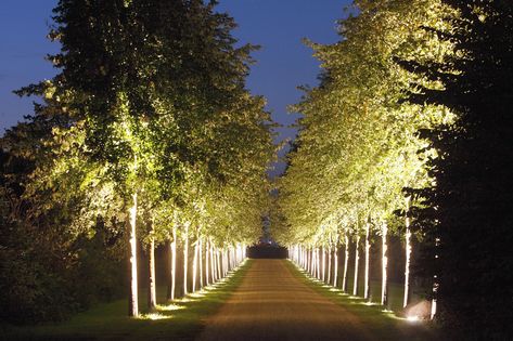 Entrance Landscaping, Driveway Entrance Landscaping, Best Outdoor Lighting, Castle Estate, Driveway Lighting, Landscape Lighting Design, Driveway Entrance, Village Resort, Driveway Design