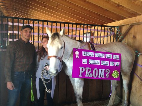 Promposal! Twilight Promposal, Dog Promposal, Chappell Roan Promposal, Horse Promposal, Wordle Promposal, Equestrian, Horses, Animals