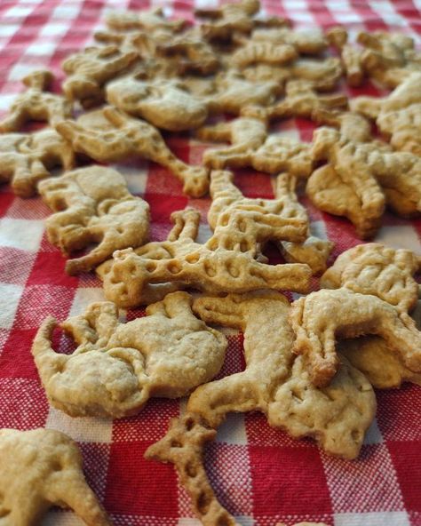 Sourdough Animal Crackers: A Recipe from the Farm - TheFarmChicken Animal Crackers Recipe, Crackers Recipe, Sourdough Starter Discard Recipe, Homemade Crackers, Cracker Recipes, Animal Crackers, Animal Cookies, Homemade Snacks, Recipe Images