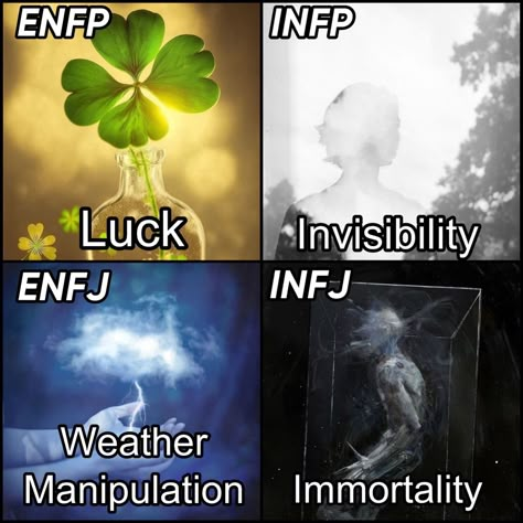 Diplomats version Mbti Superpowers, Mbti Diplomats Meme, Mbti Diplomats, Entp Infj, Enfp And Infj, Infj Characters, Enfj Personality, Introverted Thinking, Types Of Psychology