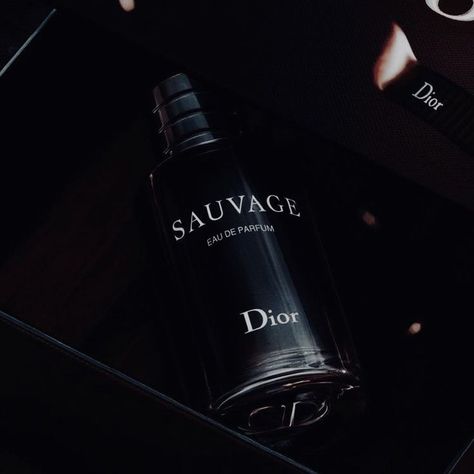 A radically fresh composition, Dior Sauvage is both raw and noble. Radiant top notes burst with the juicy freshness of Calabrian bergamot, while Amberwood unleashes a powerfully woody trail. Sauvage men's cologne is inspired by wide-open spaces, a white-hot desert landscape under a vast blue sky.
About the Fragrance: "To create Sauvage, I used man as my starting point. A strong and unmistakable masculinity. Like the image of a man who transcends time and fashion."—François Demachy, Dior Perfumer Dior Cologne Aesthetic, Jonathan King, Black Store, Greek Royal Family, Dior Sauvage, Fragrance Photography, Dior Aesthetic, Rina Kent, Long Lasting Perfume