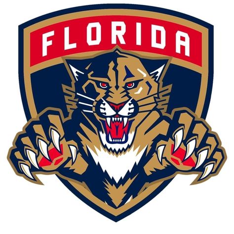 Florida Panthers Hockey, Florida Panther, Night Landscape Photography, Panther Logo, Hockey Logos, Nhl Logos, Night Landscape, Florida Panthers, Sport Hockey