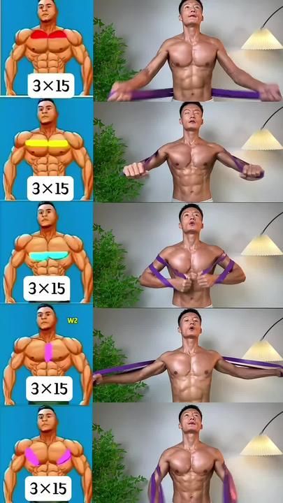 Chest At Home Workout, Lower Workout, Chest Exercise, Chest Workout Routine, Speed Workout, Upper Abs, Pectoral Muscles, Gym Workout Chart, At Home Workout