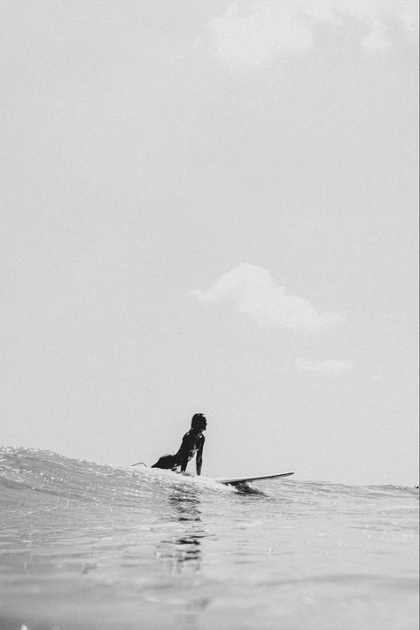 Landscape Tropical, Palm Tree Island, Surfing Aesthetic, Surf Aesthetic, Green Scenery, Black And White Photo Wall, Black And White Beach, Surf Poster, Shotting Photo