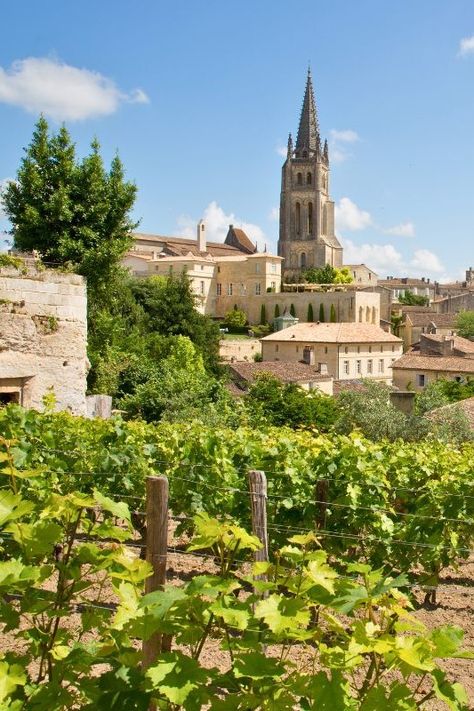 Raise your glasses to the beautiful rolling hills and stunning chateaus of the Bordeaux wine region in France 🇫🇷,  one of the most famous wine growing regions in the world. Bordeaux boasts a rich history and tradition of winemaking. Located in southwest France, this region is known for producing some of the finest red wines in the world, primarily made from Cabernet Sauvignon, Merlot, and Cabernet Franc grapes. #WineTravelGoals #Bordeaux #WorldFoodWine #WineWednesday France Wine Regions, Wine Country France, Beaujolais Wine Region, Europe 2024, Bordeaux Wine, St Emilion, Red Wines, World Food, Bordeaux France