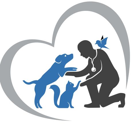 Vet Pictures, Pet Care Logo, Dog Medicine, Animal Doctor, Clinic Logo, Pets Drawing, Pet Clinic, Vet Clinics, Bird Logos