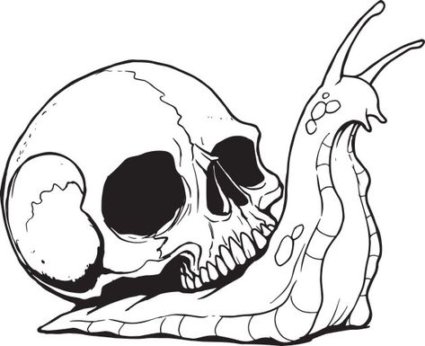 Snail Skull Drawing, Fox Skull Tattoo Design, Skull Snail Tattoo, How To Draw A Snail, Snail Skull Tattoo, T Shirt Design Drawing, Snail With Skull Shell, How To Draw A Skull, T Shirt Drawing Ideas