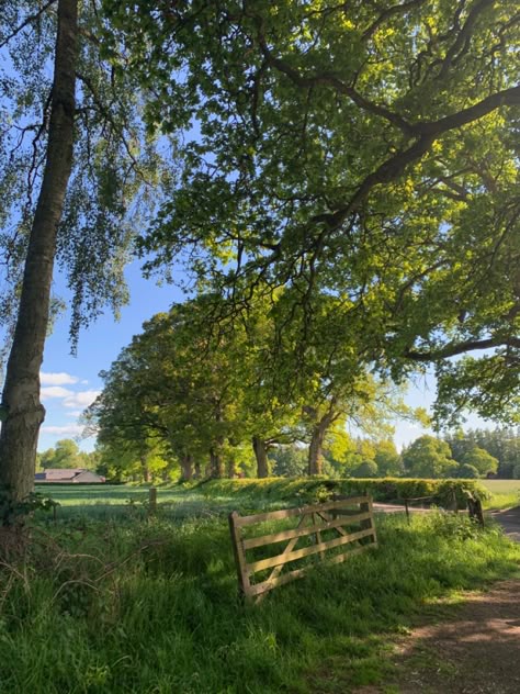 French Countryside Landscape, New England Countryside, American Countryside Aesthetic, Nature In Summer, German Countryside Aesthetic, Summer Aesthetic Countryside, Living In The Countryside, Summer In The Countryside, Scotland Summer Aesthetic