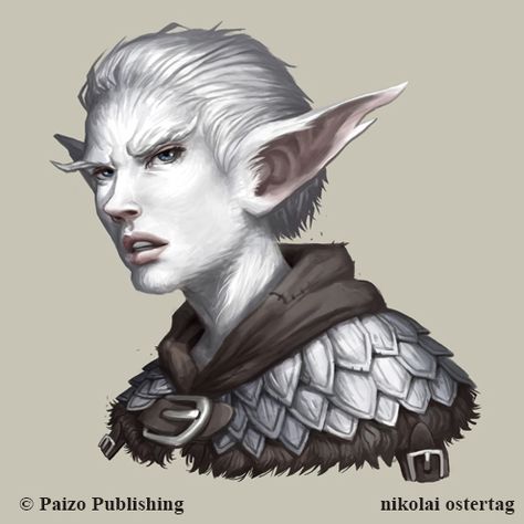 Pathfinder - Triaxian by NikolaiOstertag on DeviantArt   email: nikolai.ostertag@hotmail.com ----------------------------------------------------- You can Follow me here: Facebook: www.facebook.com/nikolai.oster… Twitter: twitter.com/nikkmao  nikolai ostertag fantasy illustration rpg paizo Snow Elf, Elves Fantasy, Elf Art, Pathfinder Rpg, Fantasy Portraits, Fantasy Races, Fantasy Male, Fantasy Rpg, Fantasy Illustration