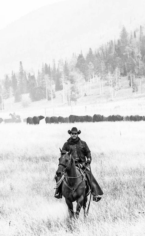 Mounting A Horse, Lee Horsley, Yellowstone Rip, Yellowstone Tv Show, Herding Cattle, Rip Wheeler, Yellowstone Series, Chief Joseph, Cole Hauser