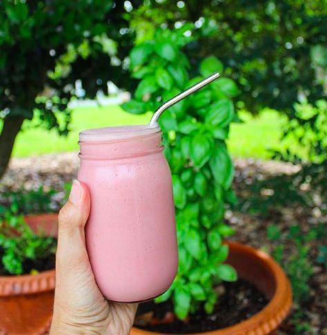 Strawberry Basil Smoothie – Naptime Kitchen Using Basil, Naptime Kitchen, Basil Smoothie, Freezing Zucchini, Strawberry Basil, Milk Kefir, Strawberry Summer, Basil Plant, Superfood Smoothie