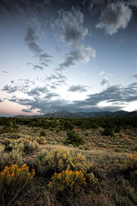 #tom troutman #new mexico#photography Taos New Mexico Aesthetic, New Mexico Aesthetic, New Mexico Photography, New Mexico Desert, New Mexico Landscape Photography, Mexico Photography, New Mexico Homes, Taos New Mexico, New Mexico Usa