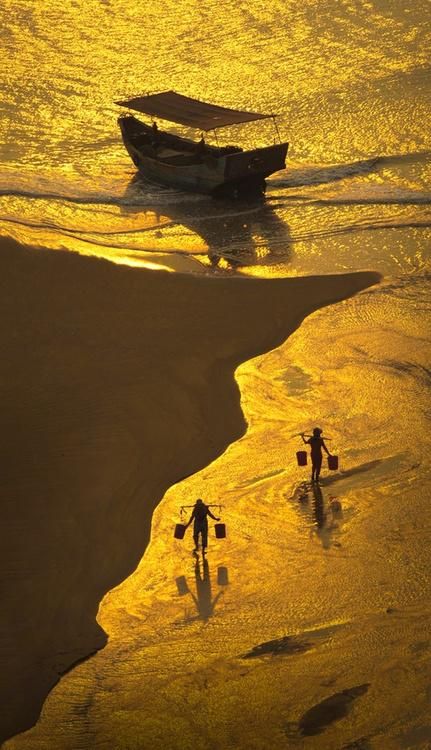 Love this.... Foto Art, Golden Lights, Jolie Photo, Mellow Yellow, Shades Of Yellow, Beautiful Photography, 그림 그리기, Sunrise Sunset, Beautiful World