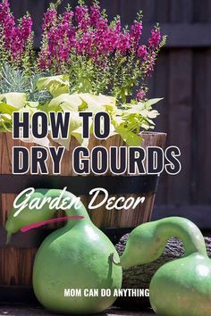 How To Dry Out Gourds, How Do You Dry Out Gourds, How To Dry Gourds For Birdhouses, Drying Gourds Diy, How To Dry Gourds Fast, Gourd Carving Ideas, Small Gourds Crafts Ideas, Gourd Art For Beginners, Gourd Decorating Ideas