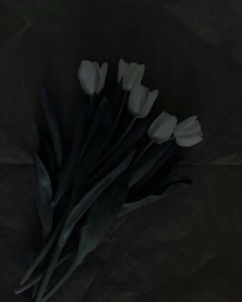 Dark Minimalist, Low Exposure, Insta Aesthetic, Black And White Picture Wall, Black Tulips, Dark Flowers, Iphone Wallpaper Pattern, Gray Aesthetic, Grey Flowers