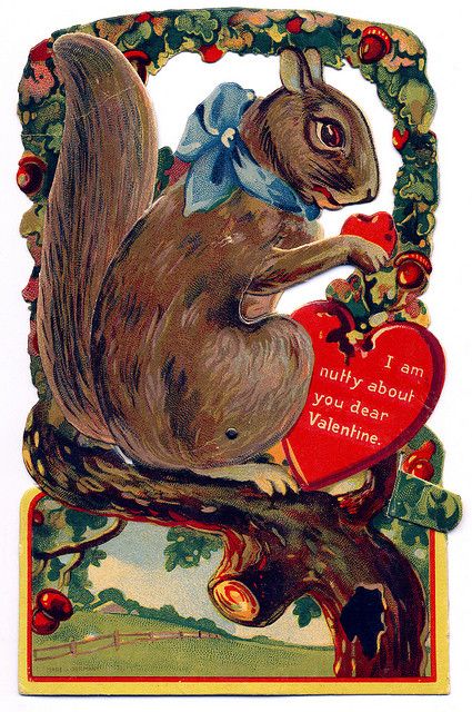 "I am nutty about you, Valentine." ~ Vintage Squirrel Valentine Squirrel Valentine, Vintage Squirrel, Valentine Vintage, Victorian Valentines, Squirrel Girl, Vintage Valentine Cards, My Funny Valentine, Love Token, Rock Collection