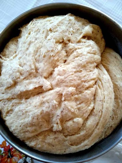 Amish Honey Wheat Bread Recipe - Amish Heritage Amish Honey Wheat Bread, Red Wheat Bread Recipe, Amish Whole Wheat Bread Recipe, Hard Red Wheat Bread Recipe, Amish Wheat Bread Recipe, Amish Recipes Authentic Pennsylvania, Best Honey Wheat Bread Recipe, Amish Recipes Authentic, Homemade Honey Wheat Bread