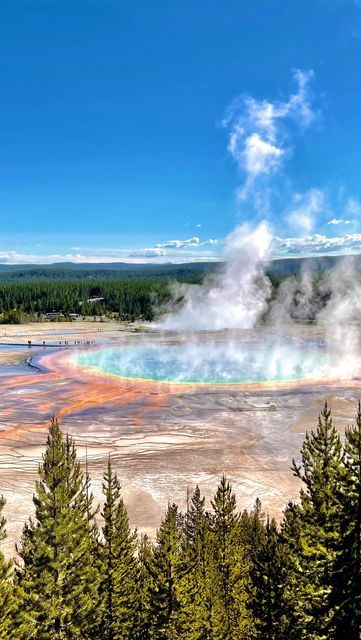 Grand Prismatic Spring Yellowstone, Types Of Bacteria, Grand Prismatic Spring, Nature Wonders, Grand Prismatic, Berry Jam, National Parks Usa, Scenery Nature, Hot Spring