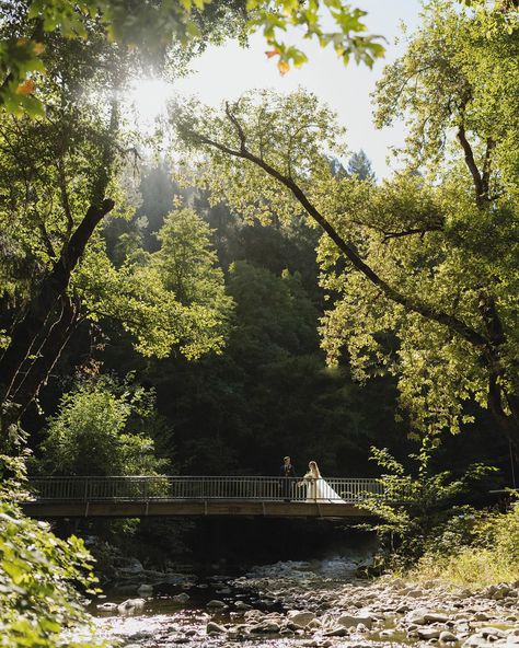 Turning a campground by the creek into your dream wedding venue>>> where you and your loved ones get to celebrate under the trees and dance under the stars🌲✨🫶🏼 Note- if you’re going to run around creekside barefoot in your wedding dress…I’m the photographer for you!!📸 A day we’ll spent with these two🦋 Planner - @chardonnay.events Venue- @rosesacornsweddings Floral design- @ambiencefloralandgifts Dj and Mc - @ariaeventservices Catering team- @hogwildbbq38 Necklace- @nadrijewelry Ri... Dance Under The Stars, Beaver Creek Wedding, Creek Wedding, Dream Wedding Venues, Beaver Creek, Under The Stars, Chardonnay, Wedding Venue, Wedding Venues