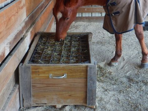 Pallet Hay Feeder, Hay Feeder For Horses, Horse Feeder, Hay Feeder, Horse Feed, Slow Feeder, Horse Stables, Horse Care, Wood Working