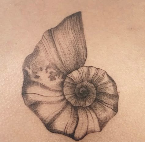 Nautilus Tattoo Sacred Geometry, Sea Shells Tattoo Design, Seashell Wave Tattoo, Moon Shell Tattoo, Nautalis Shell Tattoo, Fineline Shell Tattoo, Sea Snail Tattoo, Snail Shell Tattoo, Spiral Shell Tattoo