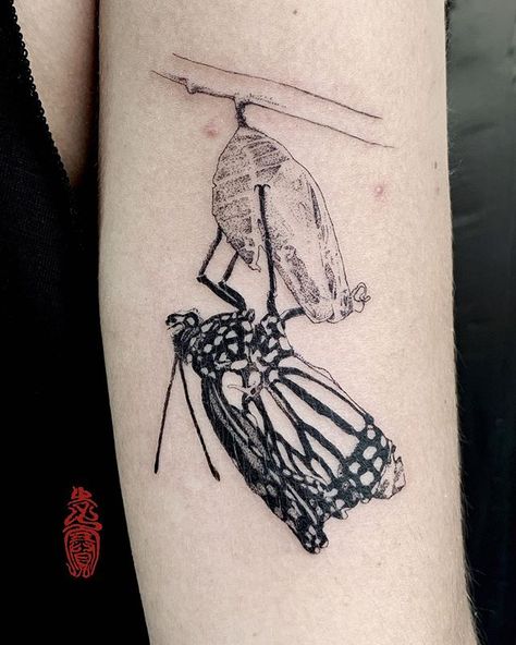 Butterfly Coming Out Of Cocoon, Butterfly Cocoon Tattoo, Cocoon Tattoo, Metamorphosis Tattoo, Core Tattoo, Butterfly Cocoon, Tattoo Pics, About Butterfly, Night Art