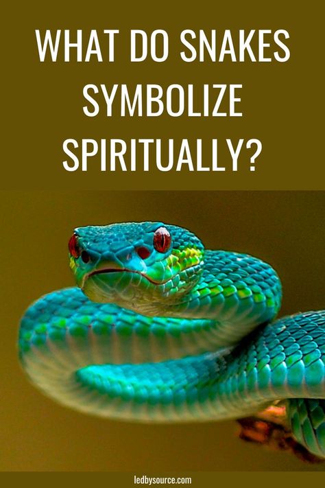 Snake Meaning, Snake Symbolism, Snake Spirit Animal, Spirit Animal Meaning, Increase Height Exercise, Animal Meanings, Dream Dictionary, Eastern Philosophy, Dream Symbols