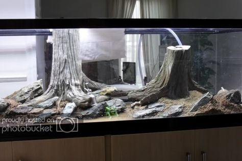 Sanjeev Kumar's Rainbowfish Aquarium Hardscape Tree Stump Aquascape, Aqua Scape, Aquascape Ideas, Taman Air, Fish Tank Design, Aquascape Design, Betta Aquarium, Cat Hotel, Nano Aquarium