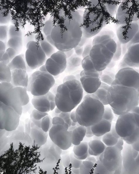 Mammatus Clouds, Clouds Photography, Storm Clouds, Natural Phenomena, Bored Panda, Mother Nature, Wonders Of The World, Beautiful Pictures, The Sky