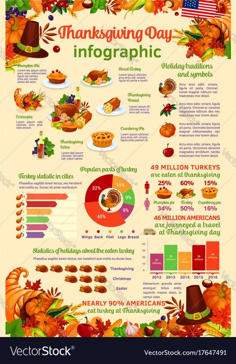 Thanksgiving Infographic, Fruit Cornucopia, Thanksgiving Illustration, Esl Materials, Thanksgiving Templates, Pumpkin Vegetable, Thanksgiving Facts, Esl Vocabulary, Pilgrim Hat