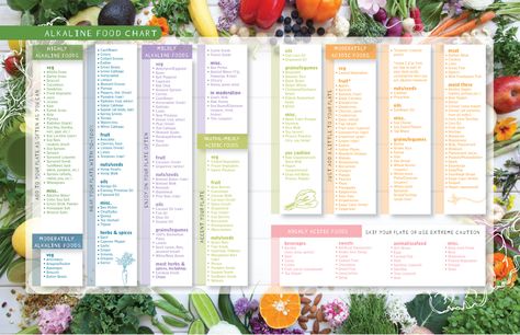 alkaline food chart from my book Acidic Food Chart, Alkaline Foods List, Alkaline Foods Chart, Vegetable Chart, Acid And Alkaline, Alkaline Diet Recipes, Food Chart, Nutrition Chart, Acidic Foods