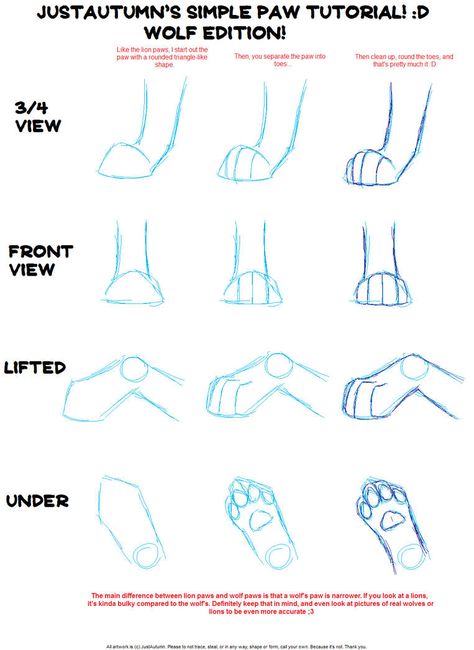 Cats Drawing Tutorial, Paw Tutorial, Paw Drawing, Wolf Sketch, Wolf Paw, Cat Drawing Tutorial, Cats Art Drawing, Skulls Drawing, Wolf Drawing