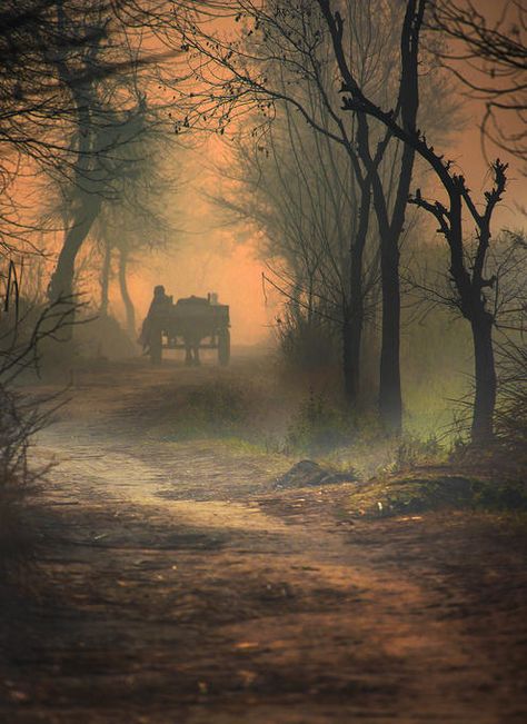 Jaime Lannister, Arya Stark, Foto Art, Fantasy Landscape, Beautiful Landscapes, Landscape Art, Beautiful Nature, Beautiful Pictures, Mist