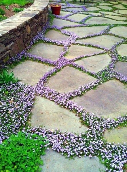 Top 60 Best Stone Walkway Ideas - Hardscape Path Designs Planning Garden, Parisian Garden, Walkways Paths, Flagstone Patio, Stone Walkway, Garden Walkway, Gardening Design, Garden Idea, Landscaping Garden