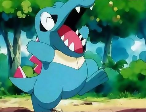 Totodile Tattoo, Totodile Art, Rowlett Pokemon, Pokemon Totodile, Pokemon Summer, Gameboy Pokemon, Silly Pokemon, Water Type Pokemon, Pokemon Project