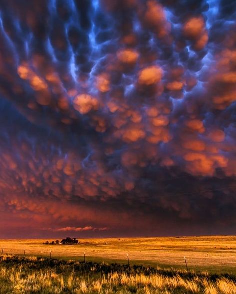 MUST FOLLOW TO BE FEATURED on Instagram: “presents BRAD HANNON DAY***********************************🏆✨🏆✨🏆Today's Featured Winner ******************************** CoNgRaTuLaTiOnS***…” #clouds #stormy #nature #photography Mammatus Clouds, Wild Weather, Beautiful Skies, Clouds Photography, Colorful Clouds, Sun Sets, Natural Phenomena, Sky And Clouds, Beautiful Sky