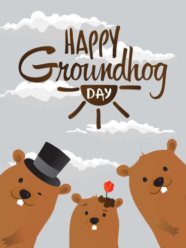 Drawing Spring, Granddaughter Quotes, Punxsutawney Phil, Ground Hog, Happy Groundhog Day, Holiday Cartoon, Birthday Reminder, Family Cards, Birthday Calendar