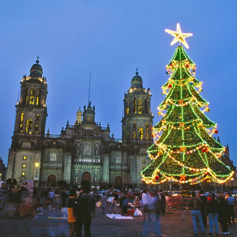 Winter is a good time to visit Mexico City, in great part thanks to the mild cold—temperatures rarely go lower than 40 degrees—but also because of the great holiday spirit that takes over the city. If you walk or drive by any residential neighborhood, you’ll most likely see a Christmas tree lit up inside many houses and apartments, and when you visit a restaurant or store, it will probably be decorated with tinsel and be playing traditional holiday music (we admit that the tunes may get annoy... Places To Go For Christmas, Christmas In Mexico, Best Christmas Vacations, Mexico Restaurants, Mexico Christmas, Christmas Tree Light Up, Visiting Mexico City, Residential Neighborhood, Catholic Christmas