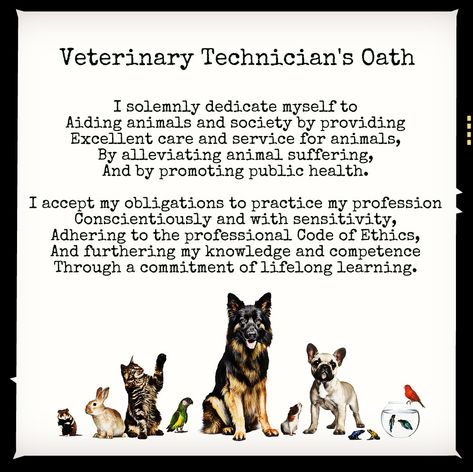 It's National Veterinary Technician Week! Veterinary Technicians are a vital part of the veterinary Care Team. Here is the Vet Tech Oath... Vet Tech Quotes, Vet Tech Graduation, Veterinary Technician Week, Vet Science, Veterinary Humor, Vet Nursing, Vet Tech Humor, Vet Tech Appreciation, Veterinarian Technician