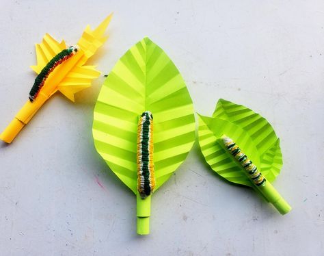 Super Simple DIY Fun Paper Wriggling Caterpillar. Craft With Tissue Paper, Paper Caterpillar, Tissue Paper Crafts, Coloured Paper, Simple Craft, Paper Butterfly, Cardboard Crafts, Colored Pens, Simple Diy