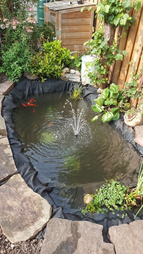 Ponds Ideas, Pond Decor, Fish Pond Gardens, Outdoor Ponds, Pond Water Features, Fish Pond, Ponds, Water Garden, Water Features