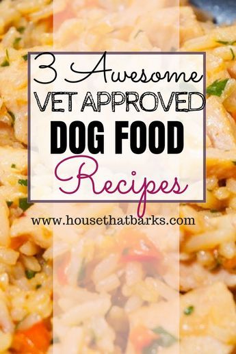 homemade dog food  Dog nutrition ideas  #dognutritionguide #dognutrition #dognutritiondiet #dognutritionchart #dognutritionhomemade #dognutritiontips #dognutritionsupplements Cooking For Your Dog Food Recipes, Homemade Dog Food With Sweet Potatoes, Limited Ingredient Dog Food Recipes, High Protein Homemade Dog Food, Homemade Dog Food For Small Breeds, Dog Food Recipes With Lentils, Air Dried Dog Food, Recipes For Puppies, Homemade Dog Food Guide