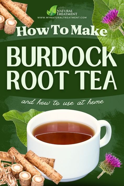 How to Make Burdock Root Tea and Use at Home #burdock #burdockroot #burdockroottea #burdockrootuses #burdocktea #burdockteaeuses #burdocktearerecipe #burdockdecoct #burdockdecoction #arctiumlappa Burdock Root Salve, Burdock Tea Benefits, How To Use Burdock Root, Burdock Root Tea Recipes, Burdock Root Tea Benefits, Burdock Root Recipes, Burdock Root Benefits, Burdock Tea, Root Recipes