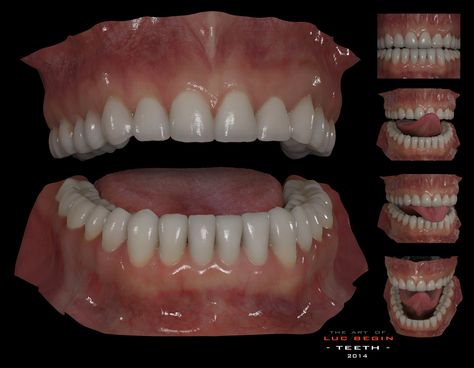 Generic Teeths., Luc Bégin on ArtStation at… Mouth Anatomy Reference, Teeth Reference, Mouth Anatomy, Teeth Anatomy, Zbrush Anatomy, 3d Anatomy, Head Anatomy, Man Anatomy, Digital Sculpting