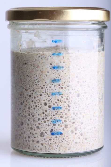 Sourdough Bread Machine, Rye Sourdough Starter, Rye Sourdough, Sourdough Rye, Sourdough Bread Starter, Dough Starter, Bread Starter, Sourdough Starter Recipe, Rye Flour