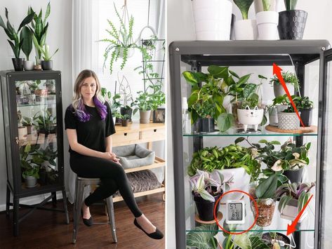 How to turn an Ikea Fabrikor cabinet into a greenhouse for houseplants Benji Plant, Ikea Indoor Garden, Ikea Glass Cabinet, Ikea Fabrikor, Plant Cabinet, Serre Diy, Diy Greenhouses, Ikea Plants, Ikea Cabinet